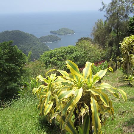 Отель Mahogany Ridge Arouca Экстерьер фото