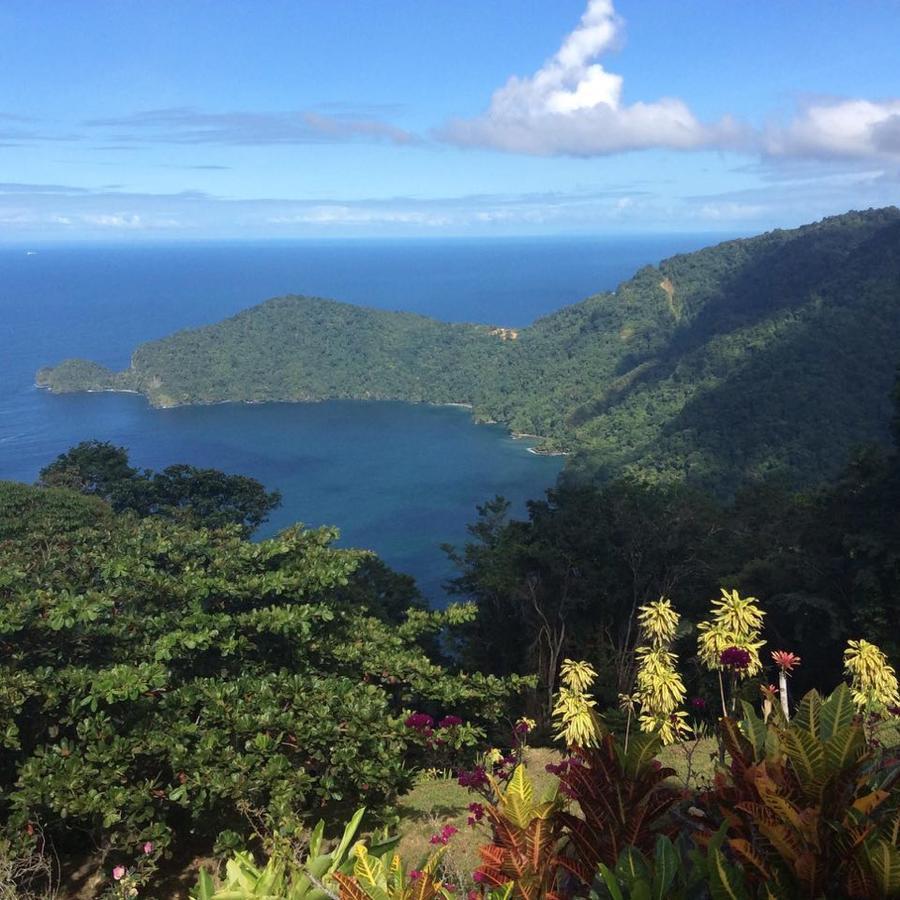 Отель Mahogany Ridge Arouca Экстерьер фото