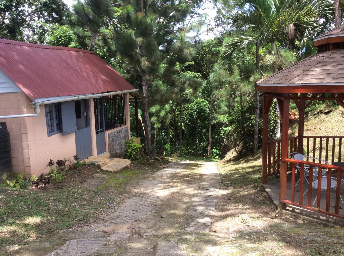 Отель Mahogany Ridge Arouca Экстерьер фото